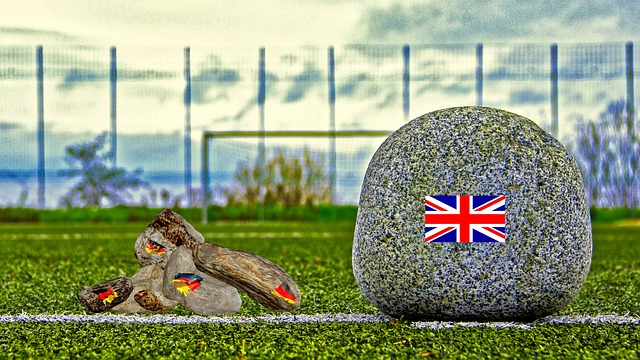 决定表示支 决定表示支