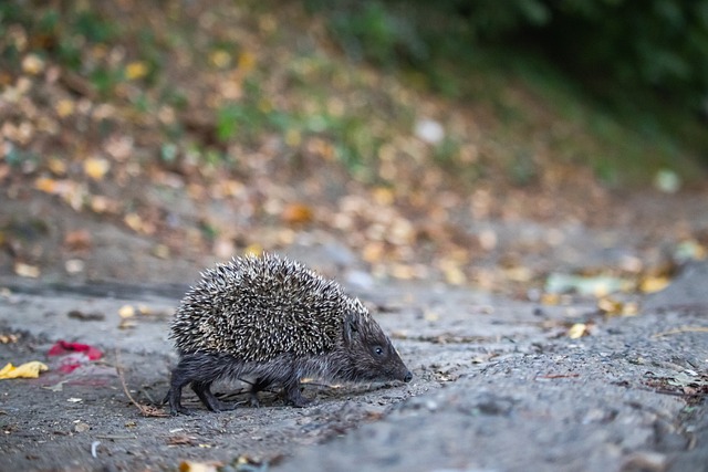 无论是对国 无论是对国