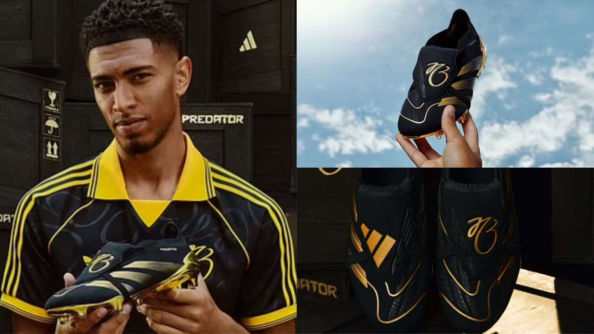 而在蘇格蘭 而在蘇格蘭