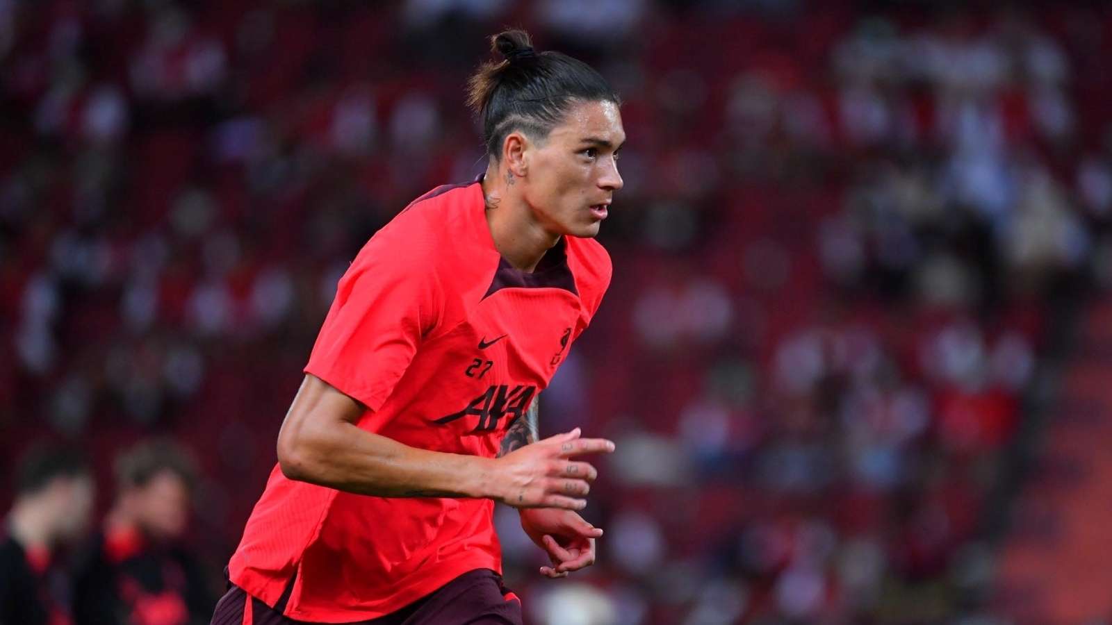 在去年的亞 在去年的亞