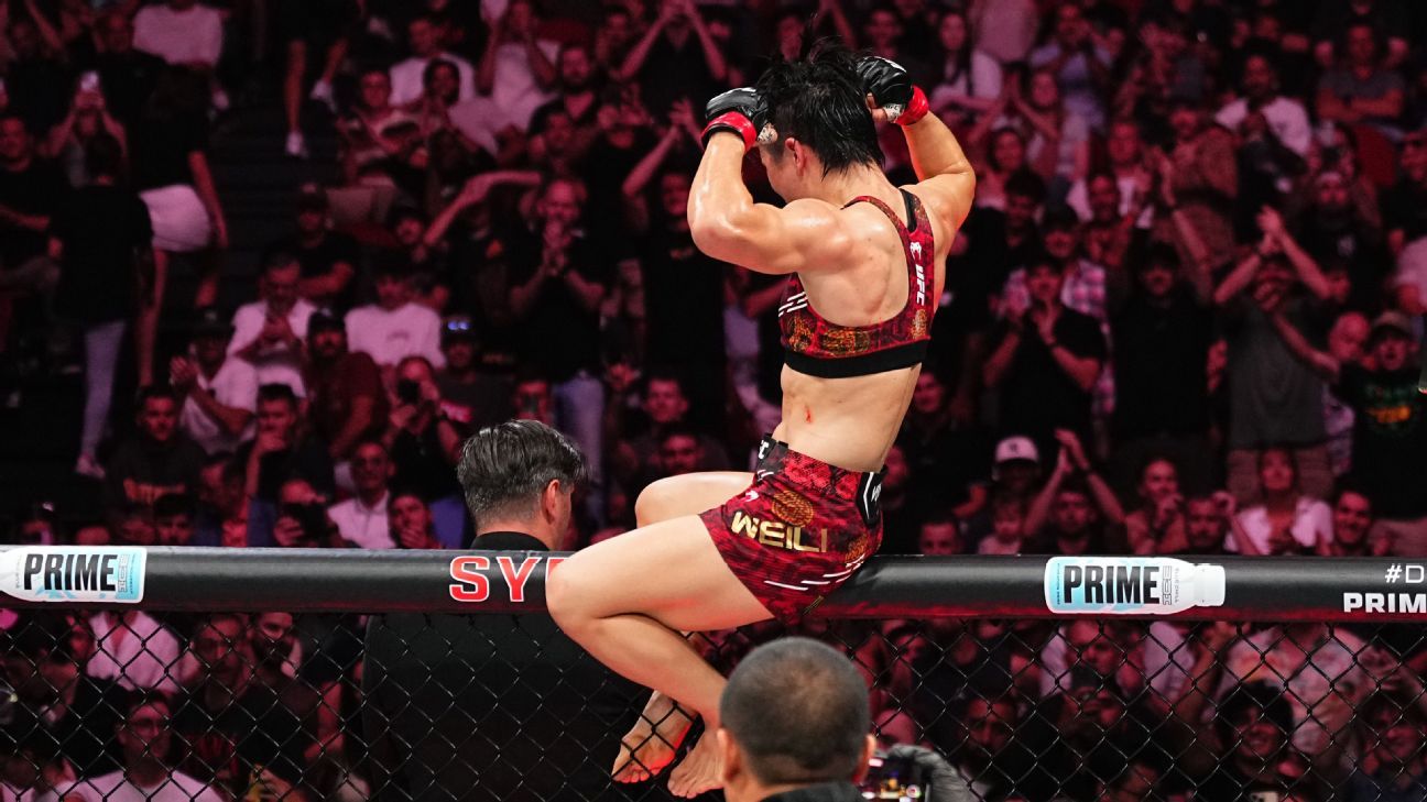 回顾哈利伯 回顾哈利伯